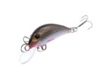 Gloog Hektor 35N, 3.5cm, 2gr (Floating), GR (Gold Roach) - imagine 3