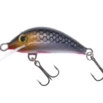 Gloog Hektor 35N, 3.5cm, 2gr (Floating), RS (Roach Silver)