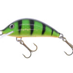 Gloog Hektor 40N, 4cm, 3.5gr (Floating), PGF (Perch Green Fluo)