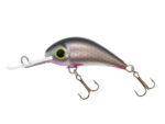 Gloog Parys 40N, 4cm, 2.5gr (Floating), NS (Natural Silver)