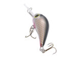 Gloog Parys 40N, 4cm, 2.5gr (Floating), NS (Natural Silver) - imagine 5