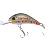 Gloog Parys 40N, 4cm, 2.5gr (Floating), T (Trout)