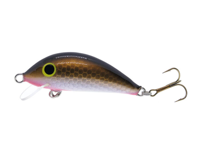 Gloog Hektor 40SR, 4cm, 3.5gr (Floating), GR (Gold Roach) - imagine 2