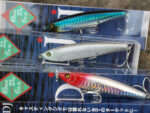 Damiki DJ JIG MINNOW 85S 8.5CM, 23gr (Sinking) -05 (Pacific Herring) - imagine 7