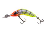 Predatek Boomerang B65S (Shallow Runner) Floating, 6.5cm, 9gr, KT (Kakadu Tiger)